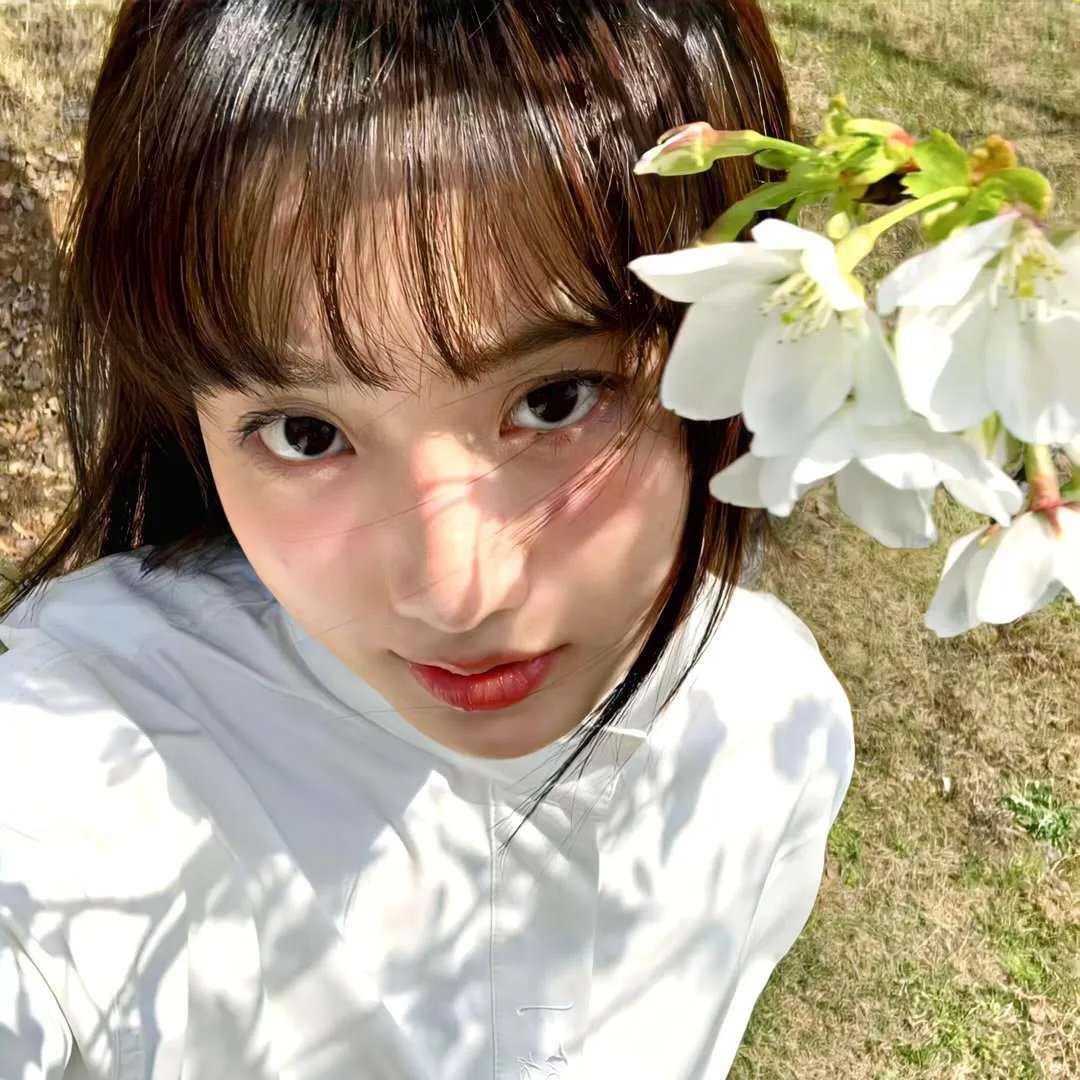 芙蓉仙子
